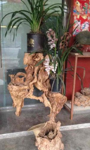 搞笑的是!那些开盘说的一直跌的!公告都不贵看