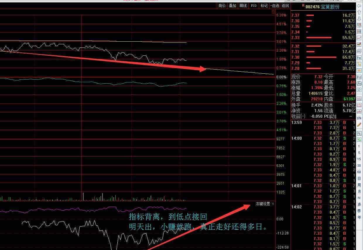 实时分时图_宝莫股份(002476)股吧_东方财富网股吧