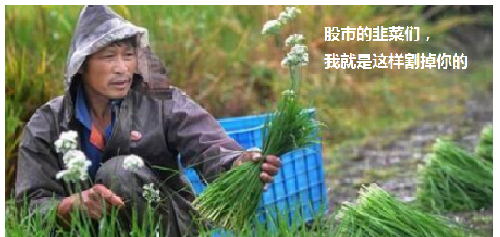 数据港的演变_数据港(603881)股吧_东方财富