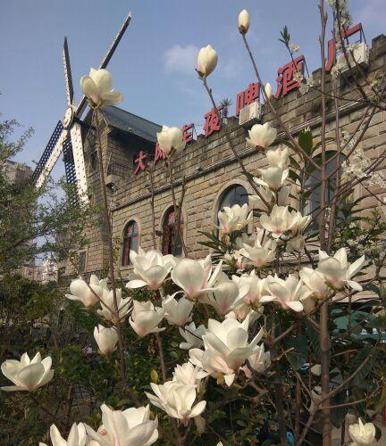 沙隆达重组_沙隆达A(000553)股吧_东方财富网