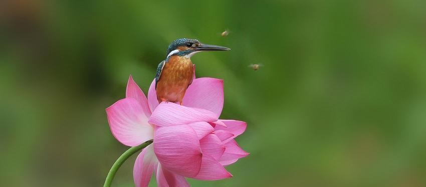 减持新规能否彻底解决A股弊端2(附:周五走势预