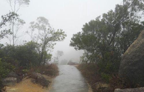 600108月线7连阴,6月8号尾盘大单扫货,不信你