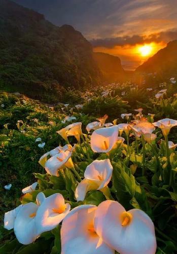 靠自有资金链炒股赢得利润的兰州黄河,我很喜