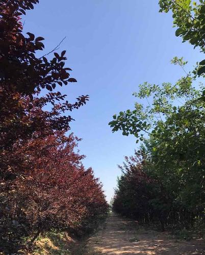 海能无所不能_中远海能(600026)股吧_东方财