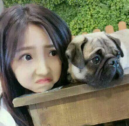 入选msci的222只股票,以后它们的走势将跟随道