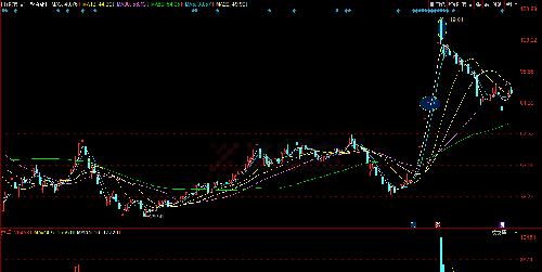大名鼎鼎的猪肉荣过往次新股的业绩_科蓝软件