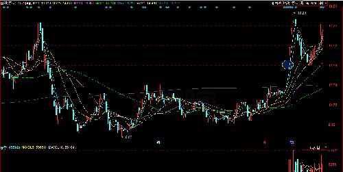 大名鼎鼎的猪肉荣过往次新股的业绩_科蓝软件