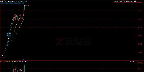 大名鼎鼎的猪肉荣过往次新股的业绩_科蓝软件