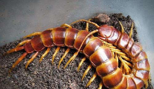 卖掉600519买601789最正确_股民学校(gmxx)