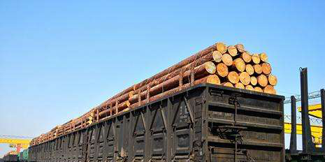 中国木材与木制品流通协会:中国木业发展遭遇