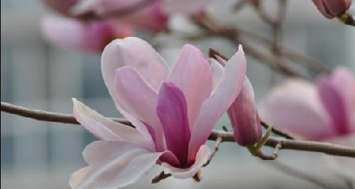 601608_中信重工(601608)股吧_东方财富网股吧