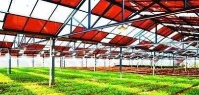 农民种地图片_种地收入(2)