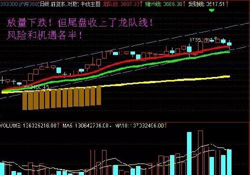 收入证明_预作收入(2)