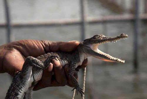 让我们一起摇啊摇,自由自在才是我们的目标_青