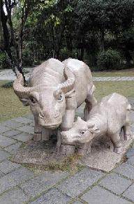 这只股票将超越沧州大化方大炭素 600708光明