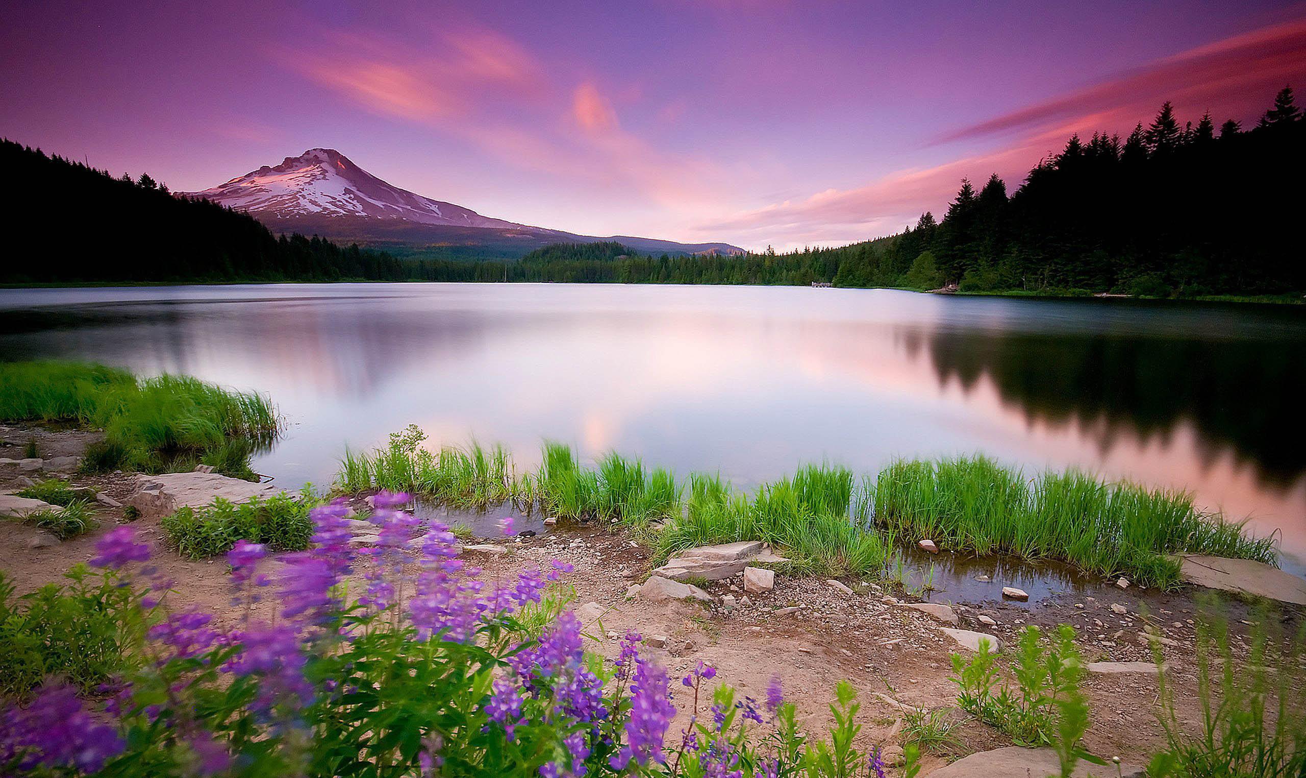 【0803周四策略早知道】换高备低最主动_博客