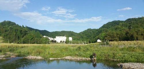 恭贺江粉磁材重组复牌:炒股炒未来炒预期,重组