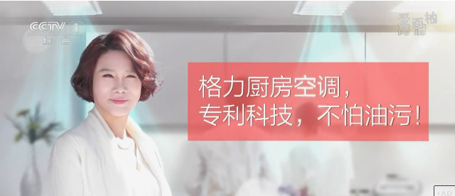 张东健蔡琳_2018年张东健收入(2)