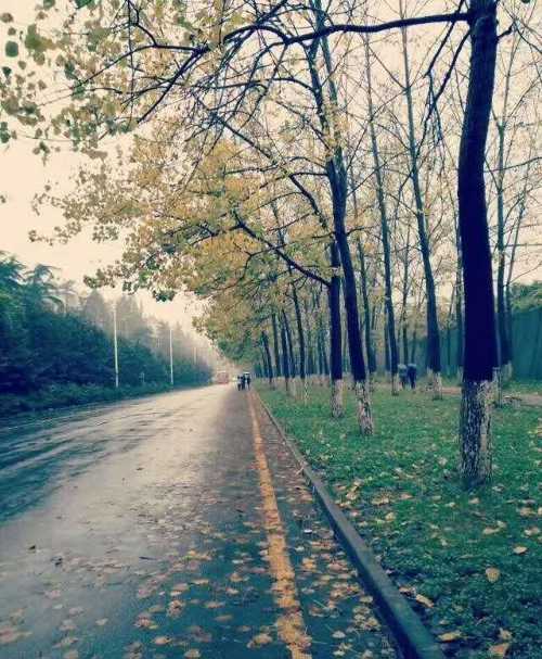 一场秋雨一场凉,不觉初秋夜渐长。秋花惨淡秋