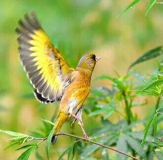 两年前看到你股价创业板倒数第一,两年后再来