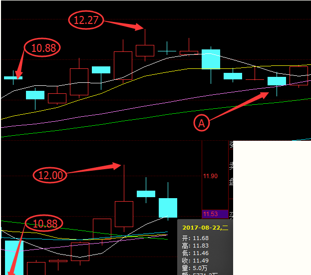 揭秘龙头股份力挺大盘柳暗花明_博客(dcblog)