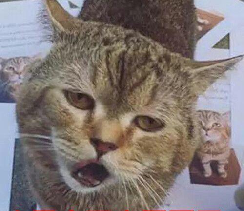 广宇发展换手率不到5% 龙虎榜基本是机构买进