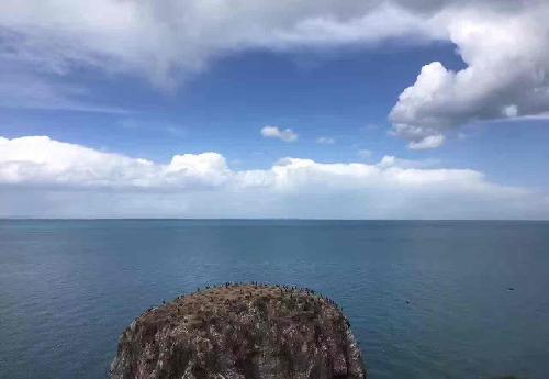 雄安港口601326秦港股份_秦港股份(601326)股