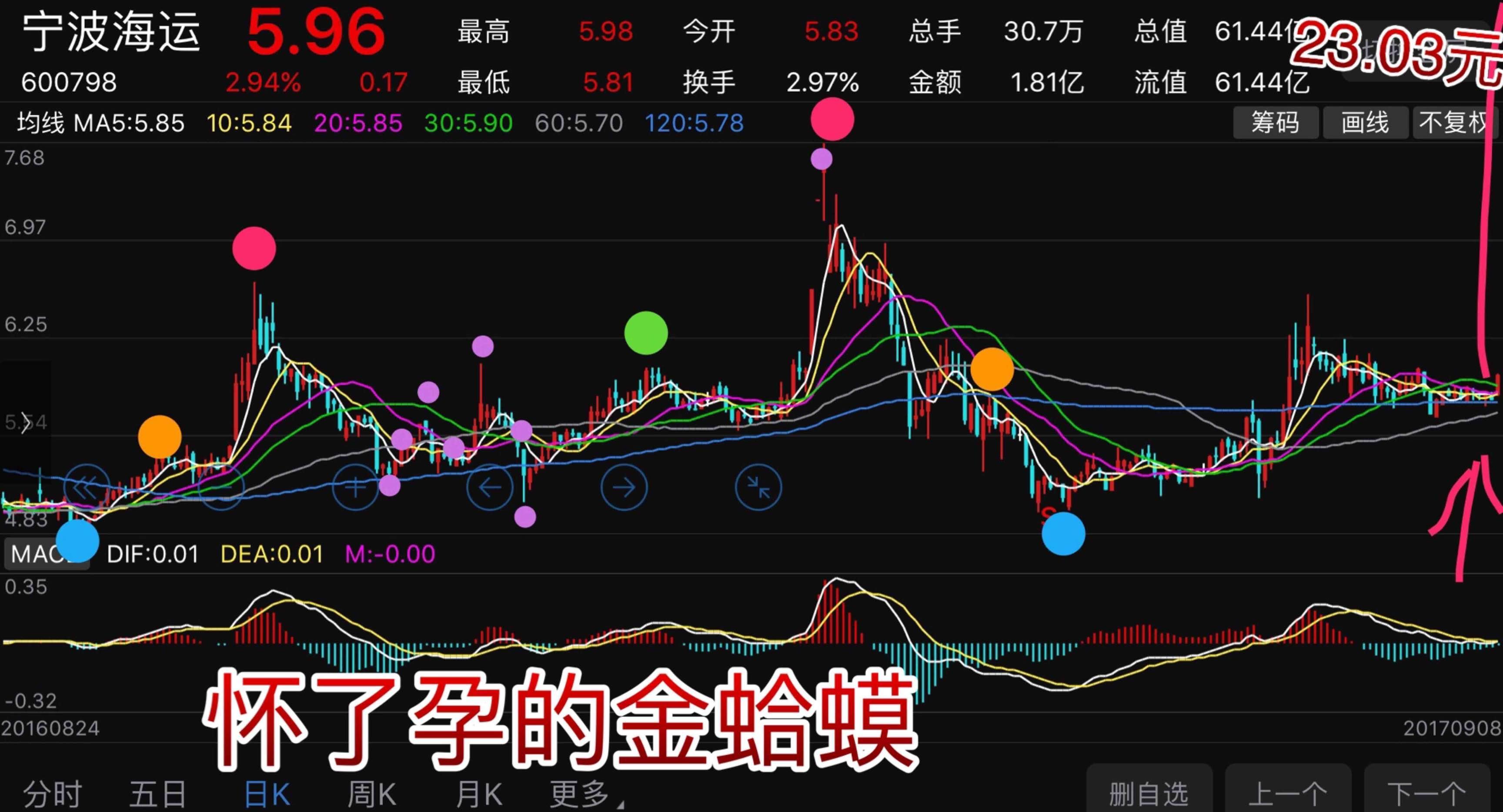 宁波海运k线走势就是一只怀了孕的金蛤蟆图形(我独创的叫法,通常肚子