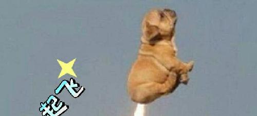 [图片]_正虹科技(000702)股吧_东方财富网股吧