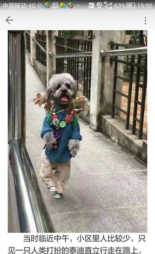 钱拿给皇马了_皇马科技(603181)股吧_东方财