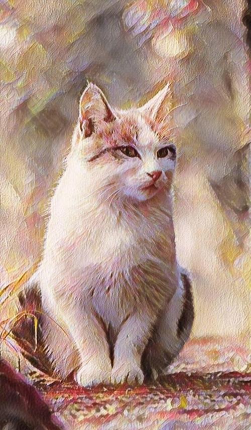 这个股票有重大黑幕,散户不要上当,赶快清仓。