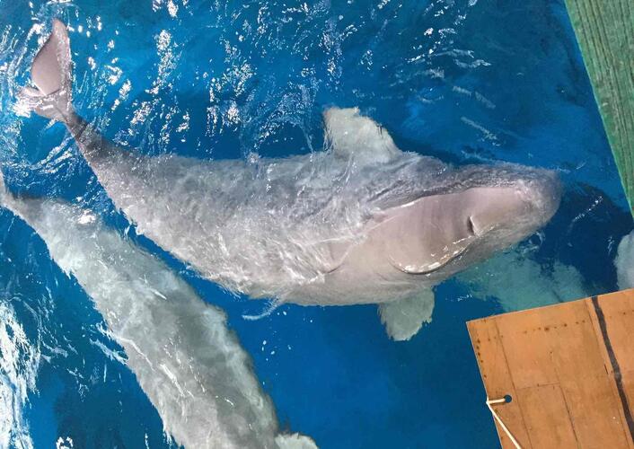 听天由命吧_京汉股份(000615)股吧_东方财富