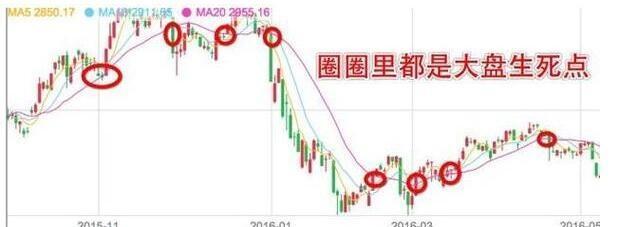 周末充电:20日均线买卖法,散户看了会流泪庄家