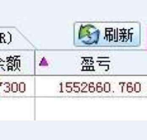 这吧里有些没见过世面的,感觉股市里就他会赚