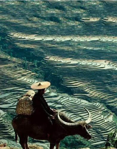 大盘波段高点在3430点左右,大家都知道了,可能