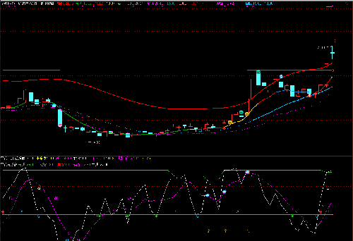 山西证券 赛托生物 至纯科技 永悦科技,发图给咨