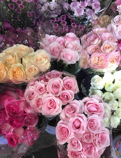 秋的盛会~_*ST嘉陵(600877)股吧_东方财富网