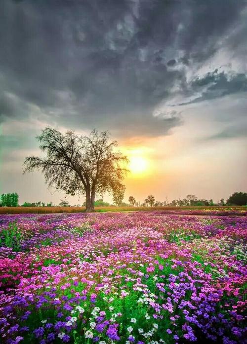 我司马懿马哥说:玩股票,想像力比技术更管用,我