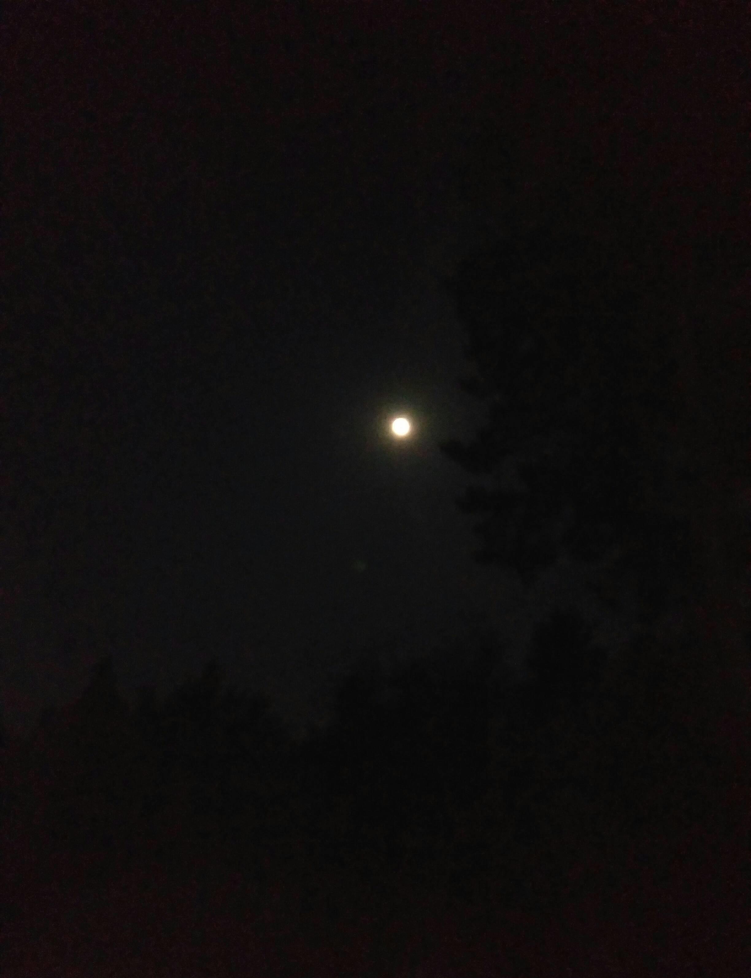 今天晚上看着月亮就上山了,空气中有一股烟味今人压抑