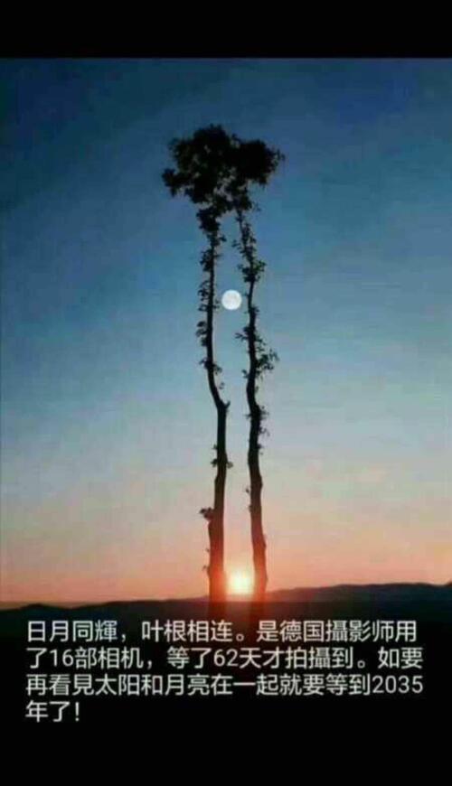 启迪开始了日月同光之旅…