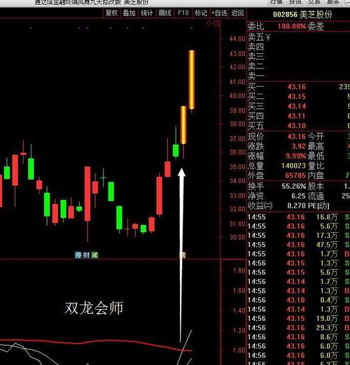 双龙会师涨停板之美芝股份!_美芝股份(002856