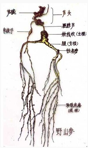 CFB0D5C519EEBB841EBEDEDD6E1F9620.jpg