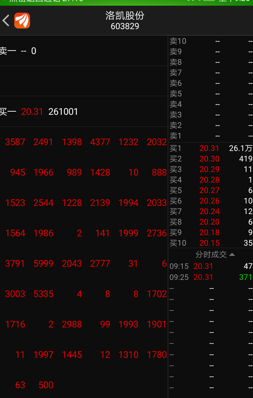 第一次在早上集合竞价挂单看到自己的挂单,大