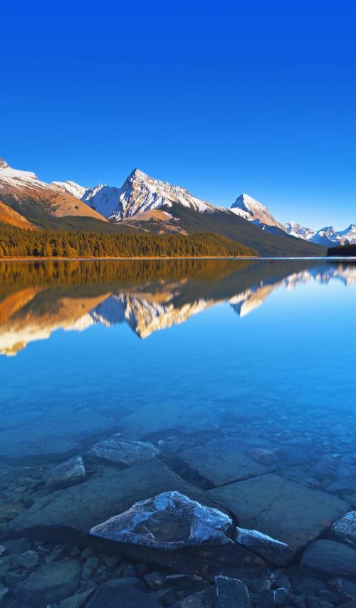 风吹过湖面,泛起…_人福医药(600079)股吧_东