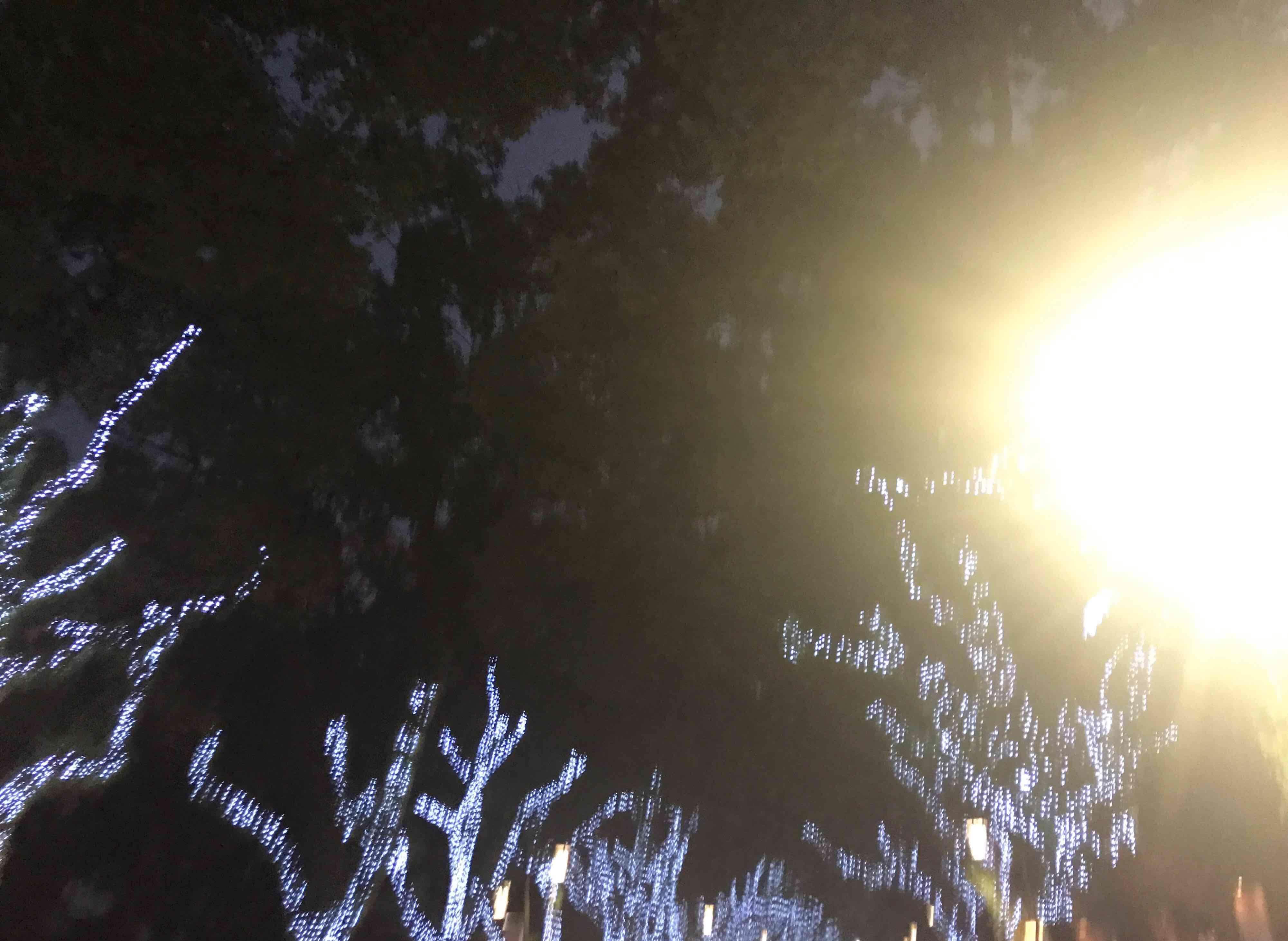 夜之光 guba.eastmoney.com