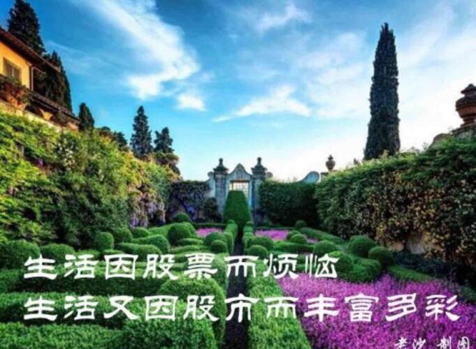 亲:用一颗平常心长期持有能从小公司成长为大