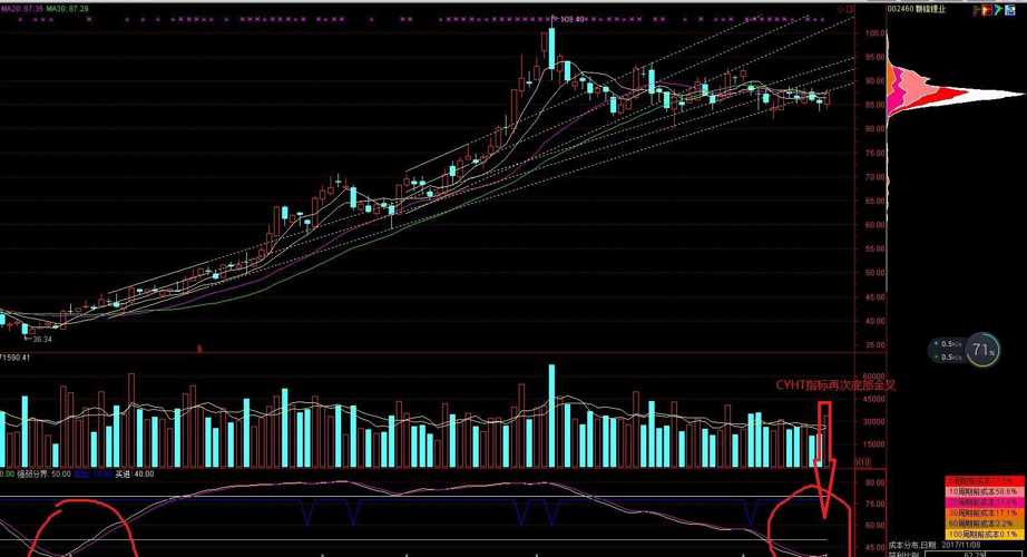 002460 CYHT指标信号_赣锋锂业(002460)股吧