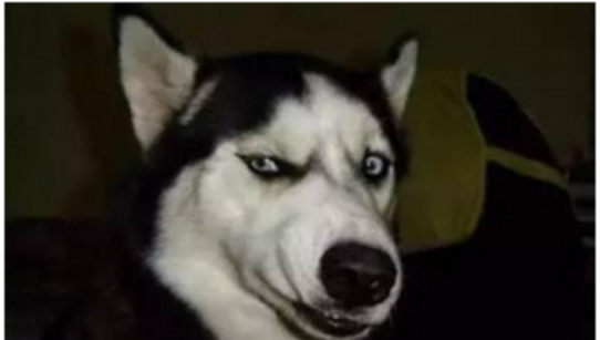 京汉股份·[000615.sz] 想知道股票信息全在这