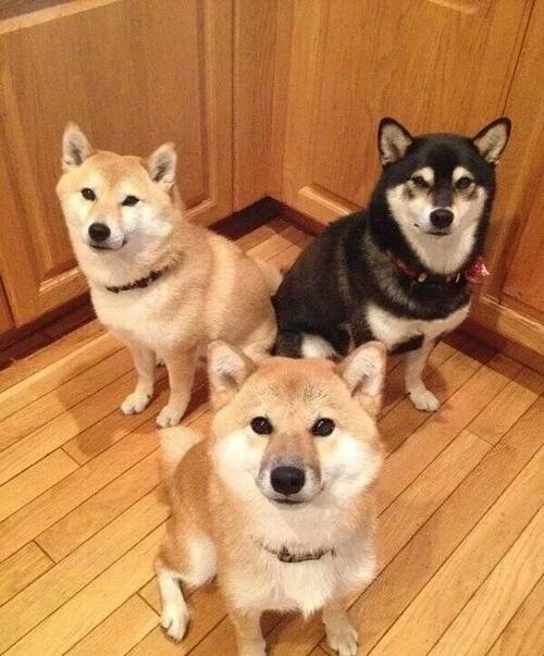 要是一直保持这种边洗边慢涨就好咯[大笑]_华