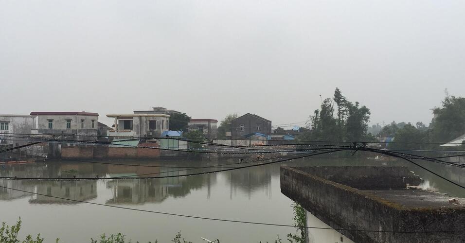 大湾区一定是未来十年的发展目标!广州港比36